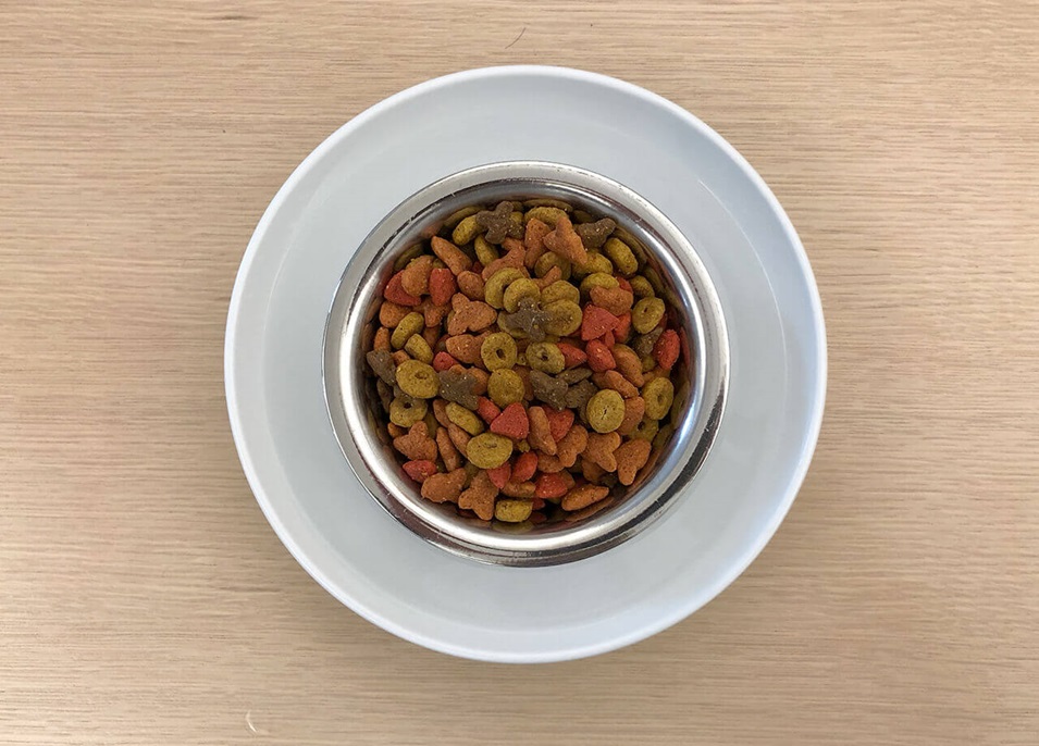 A top view of a bowl of water with a bowl of pet food sitting inside it to create a moat.