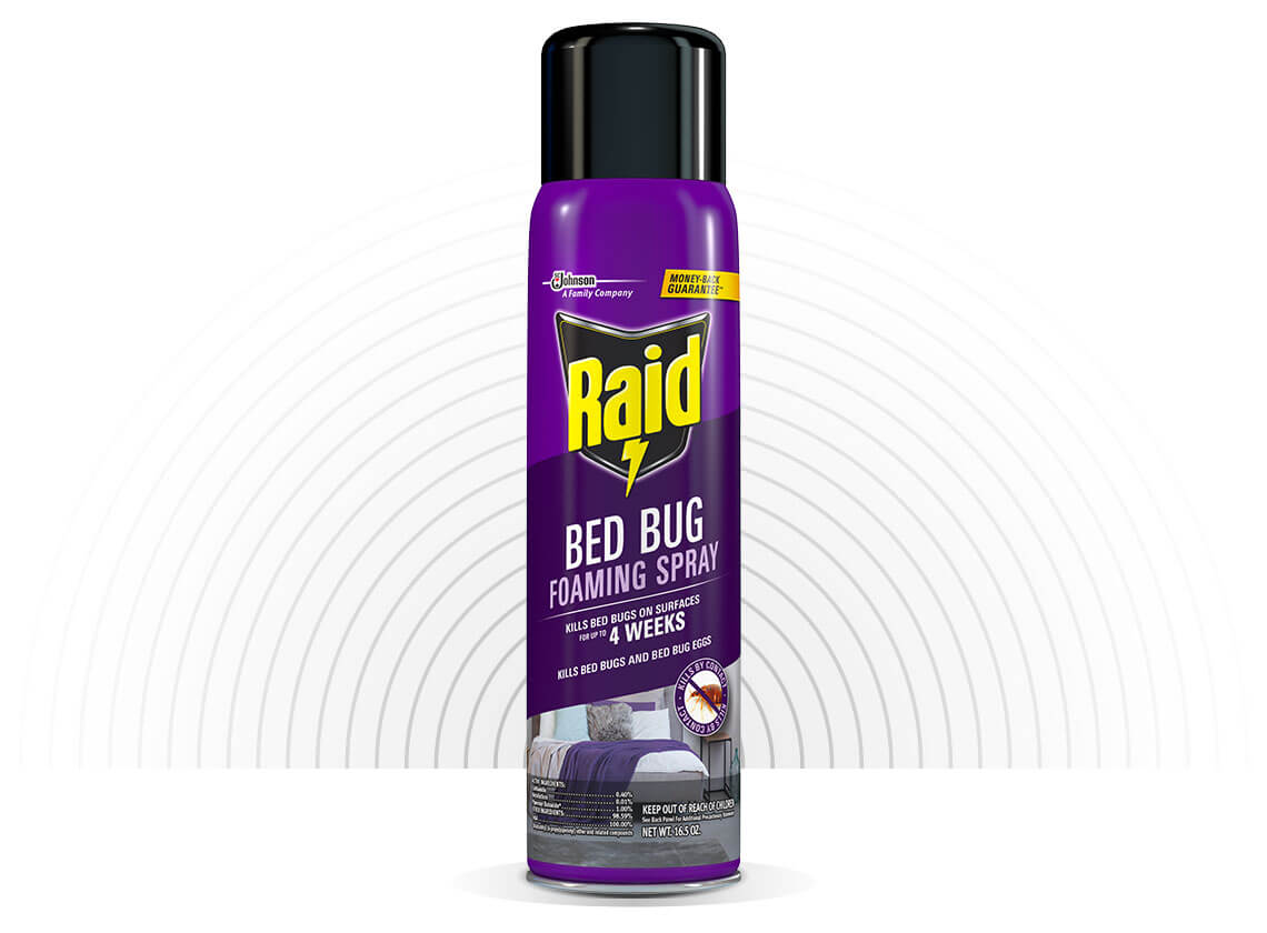 Raid-Bed-Bug-Foaming-Spray-Hero-1-2X