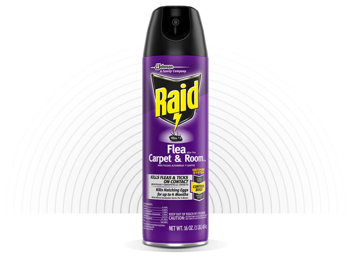 Raid-Flea-Killer-Plus-Carpet-and-Room-Spray-Hero-1-2X
